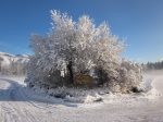 Ski in the winter